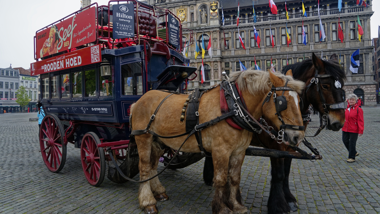 20140420 104146•Antwerpen•Flanders•Belgium